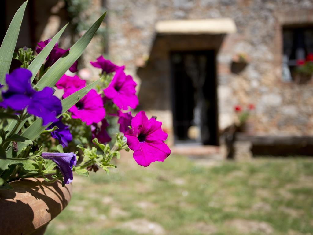 Novelleto Villa Monteriggioni Exterior photo